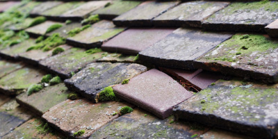 Thrumpton roof repair costs